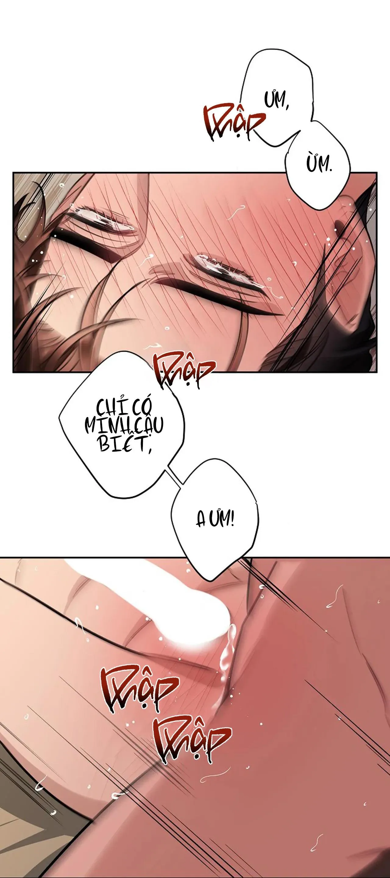 ĐÊM DỊU DÀNG Chapter 51 Trang 33