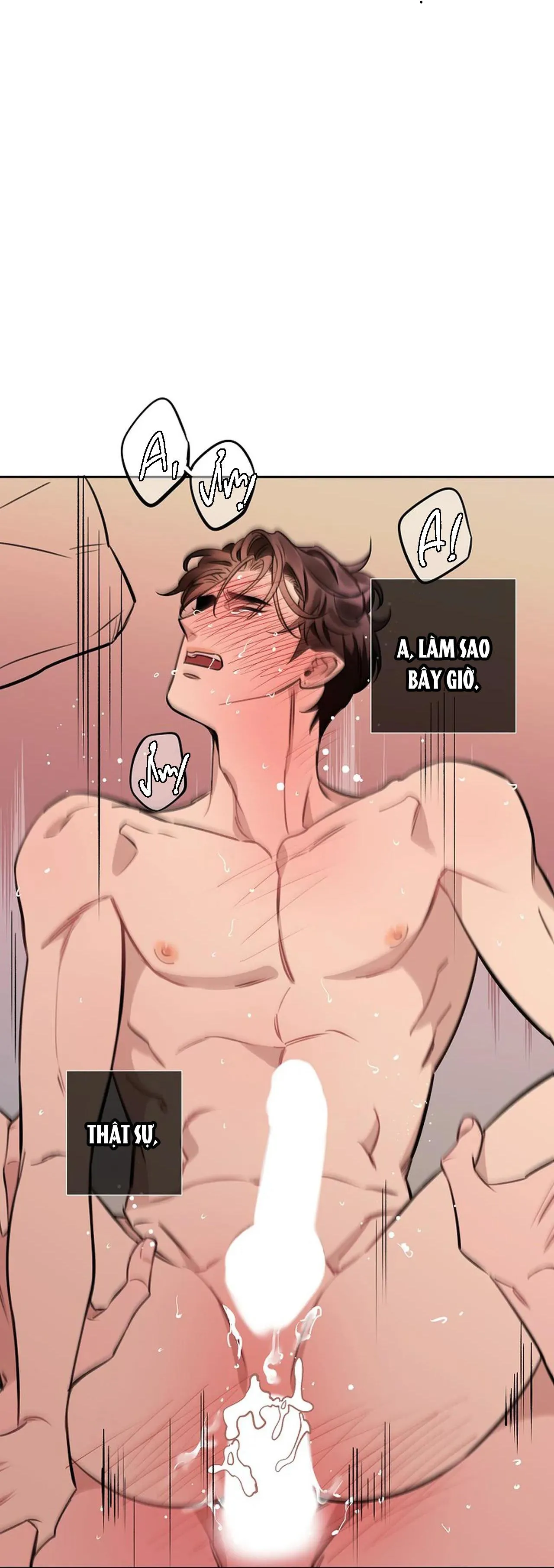 ĐÊM DỊU DÀNG Chapter 51 Trang 36