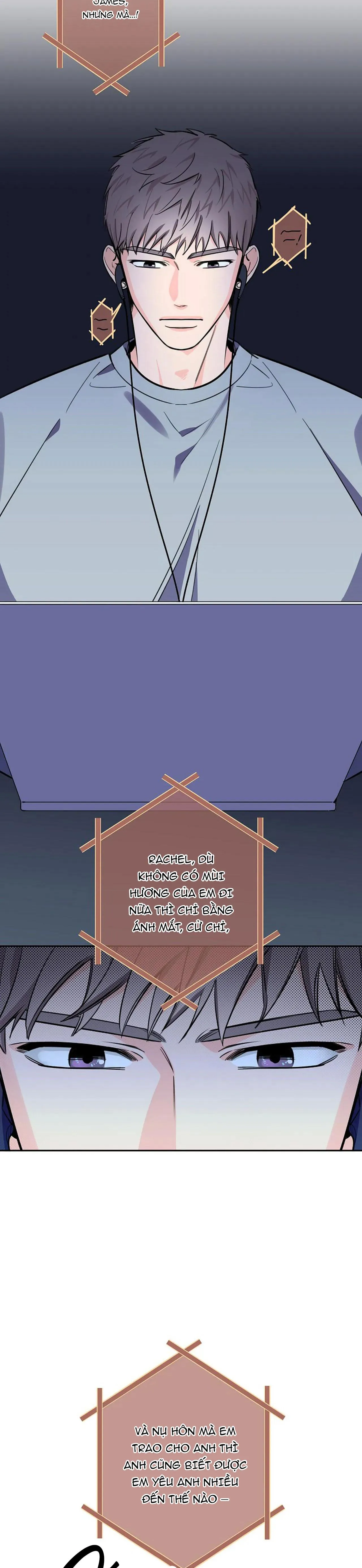 ĐÊM DỊU DÀNG Chapter 54 Trang 13