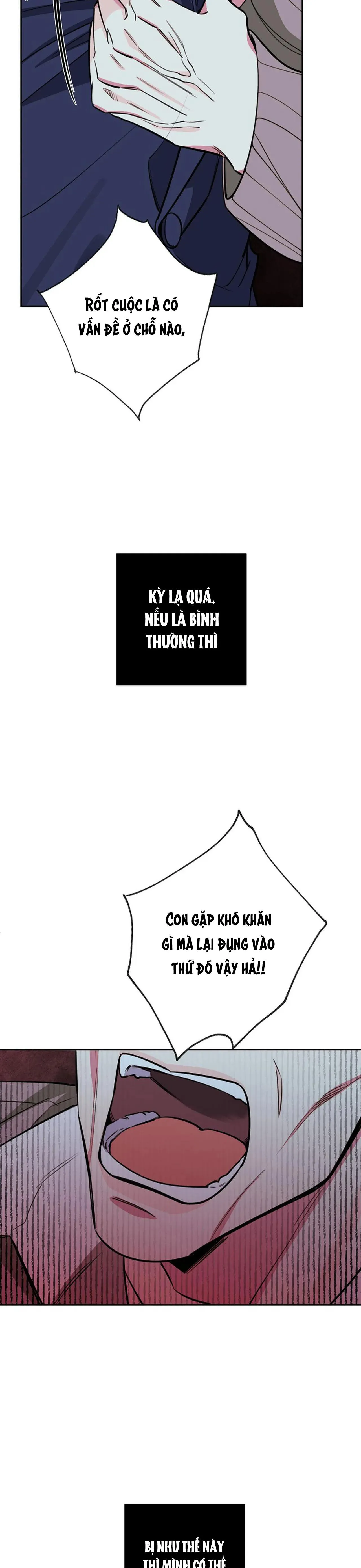 ĐÊM DỊU DÀNG Chapter 55 Trang 5