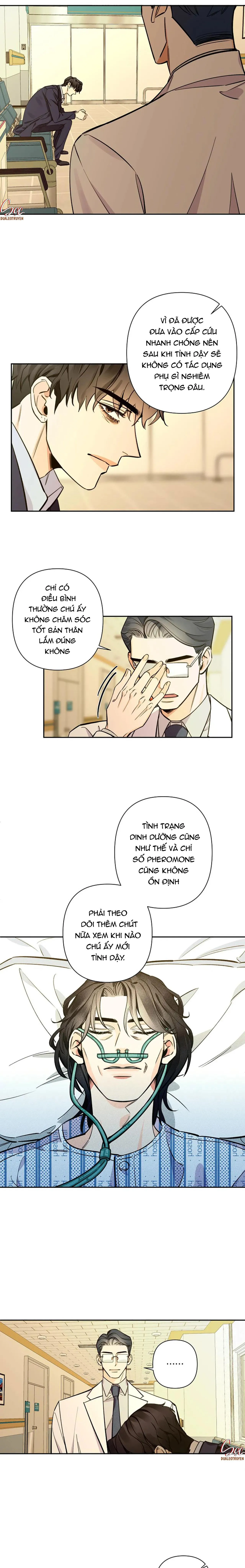 ĐÊM DỊU DÀNG Chapter 56 Trang 10