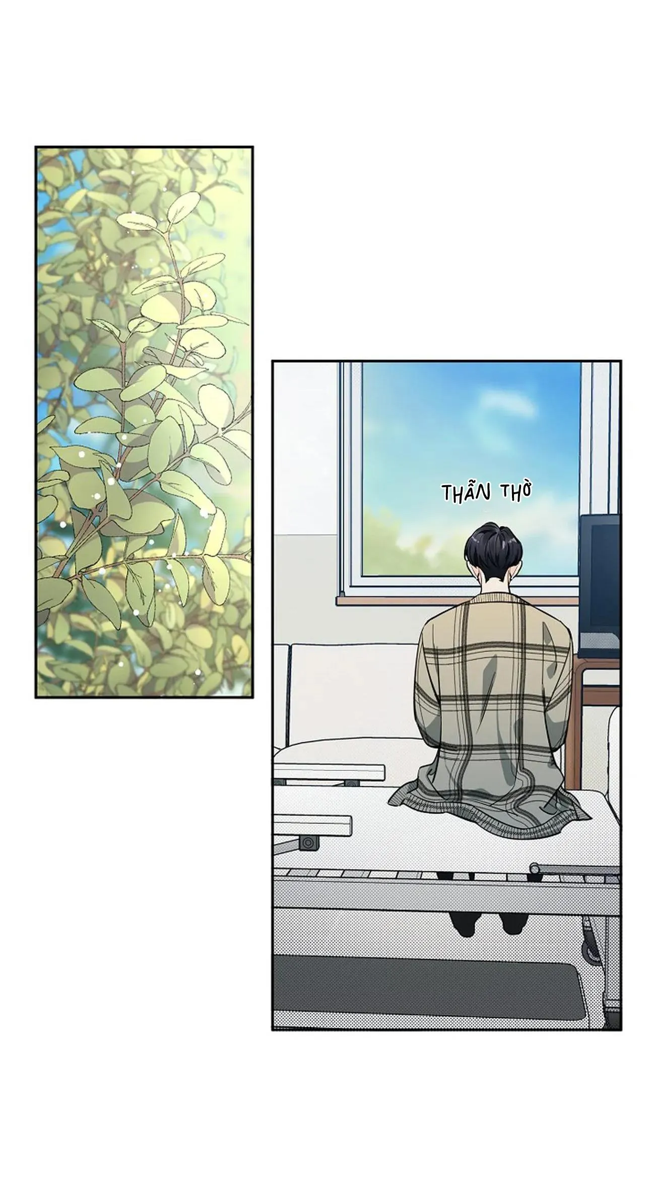 ĐÊM DỊU DÀNG Chapter 59 Trang 36