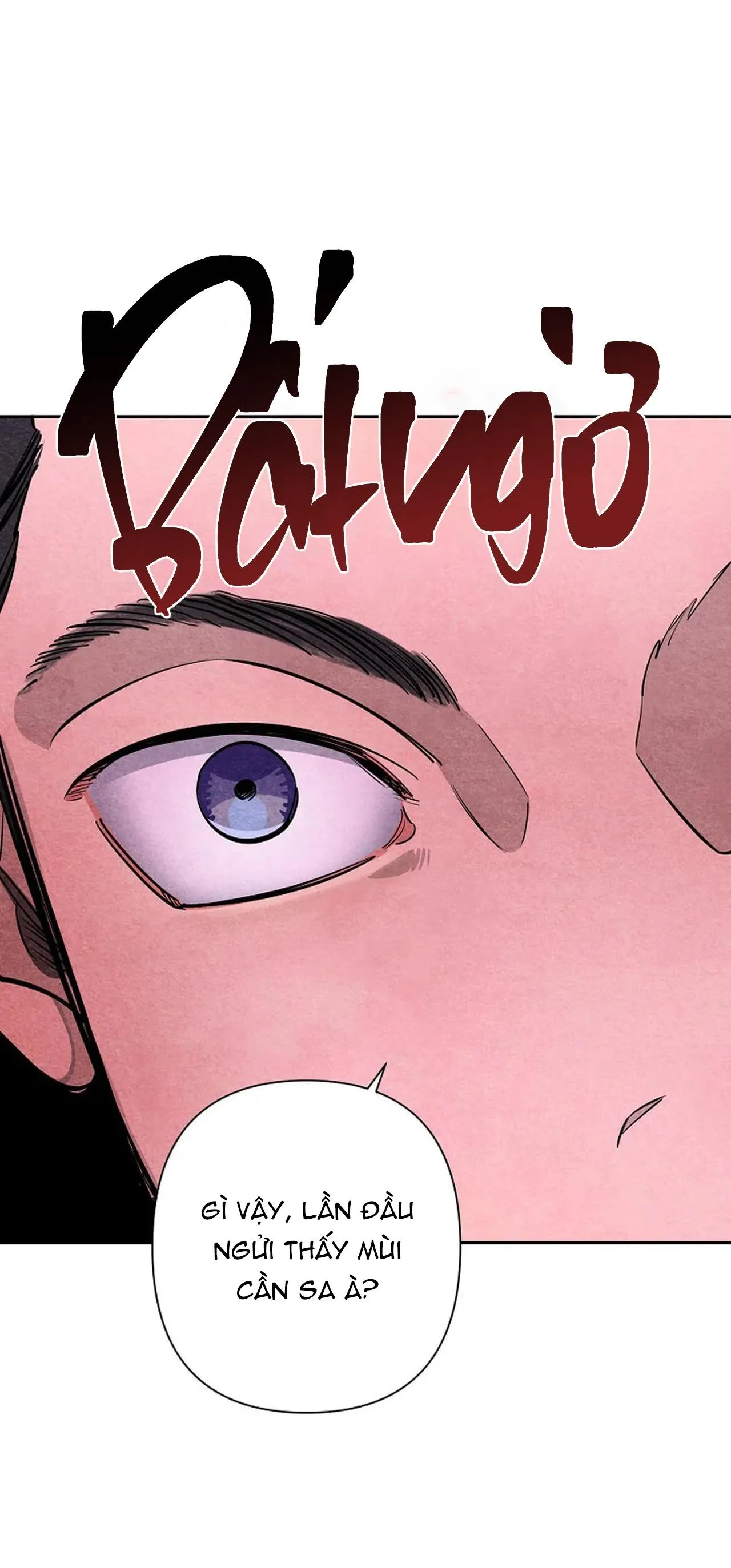 ĐÊM DỊU DÀNG Chapter 61 Trang 4