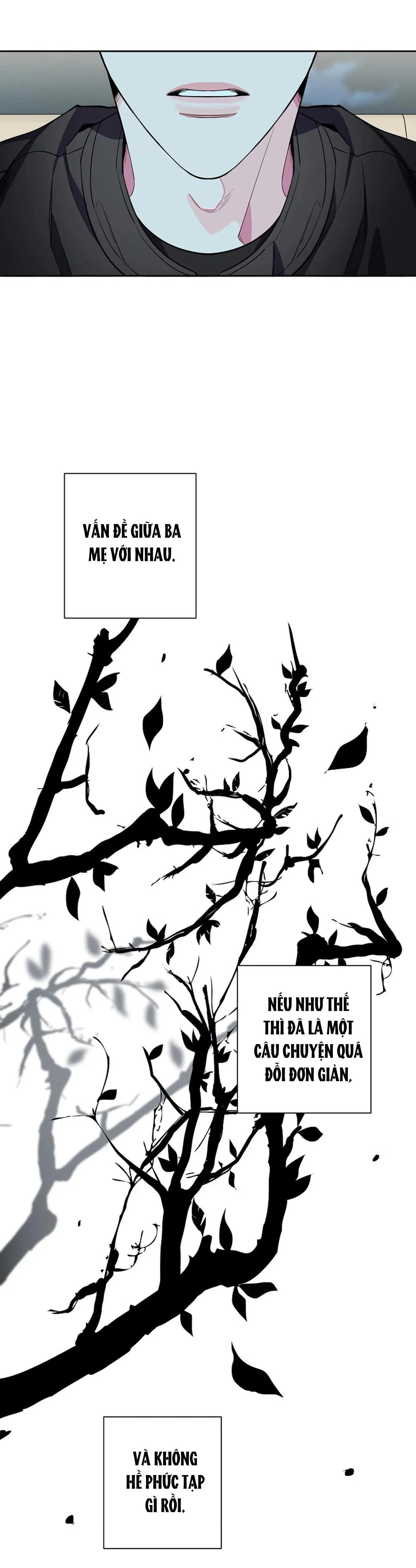 ĐÊM DỊU DÀNG Chapter 63 Trang 19