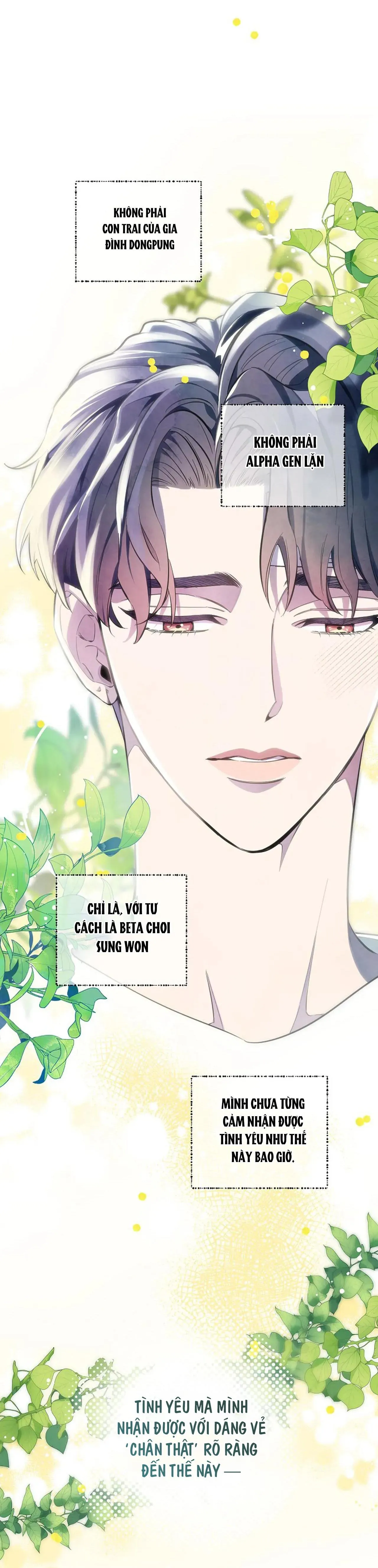 ĐÊM DỊU DÀNG Chapter 68 Trang 23