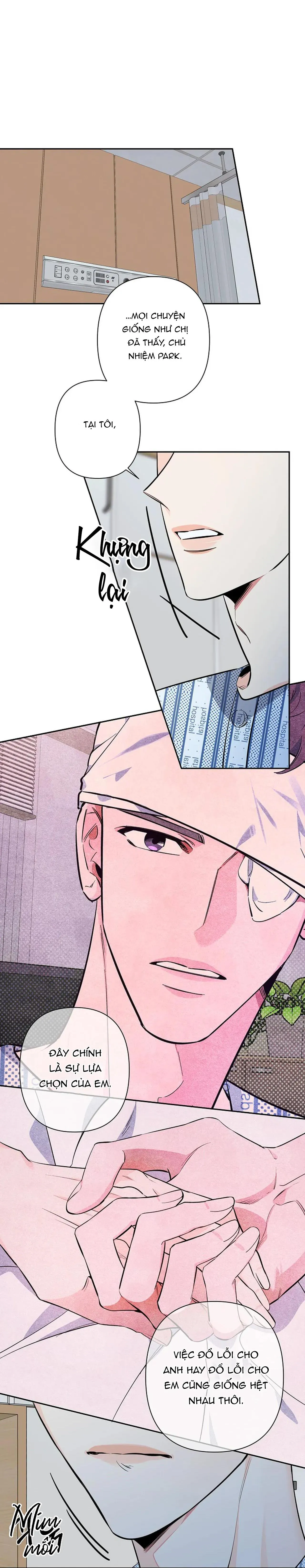 ĐÊM DỊU DÀNG Chapter 69 Trang 3