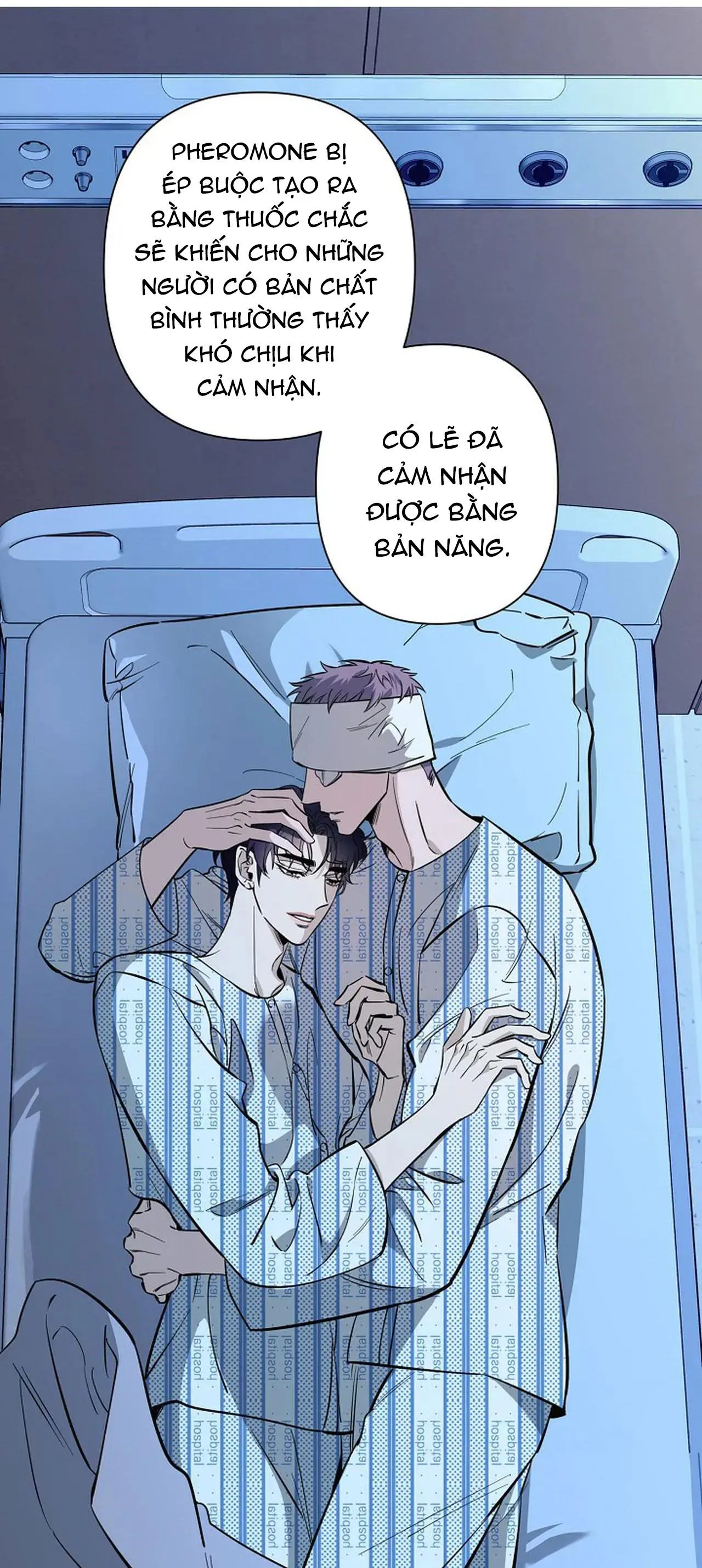 ĐÊM DỊU DÀNG Chapter 71 Trang 6