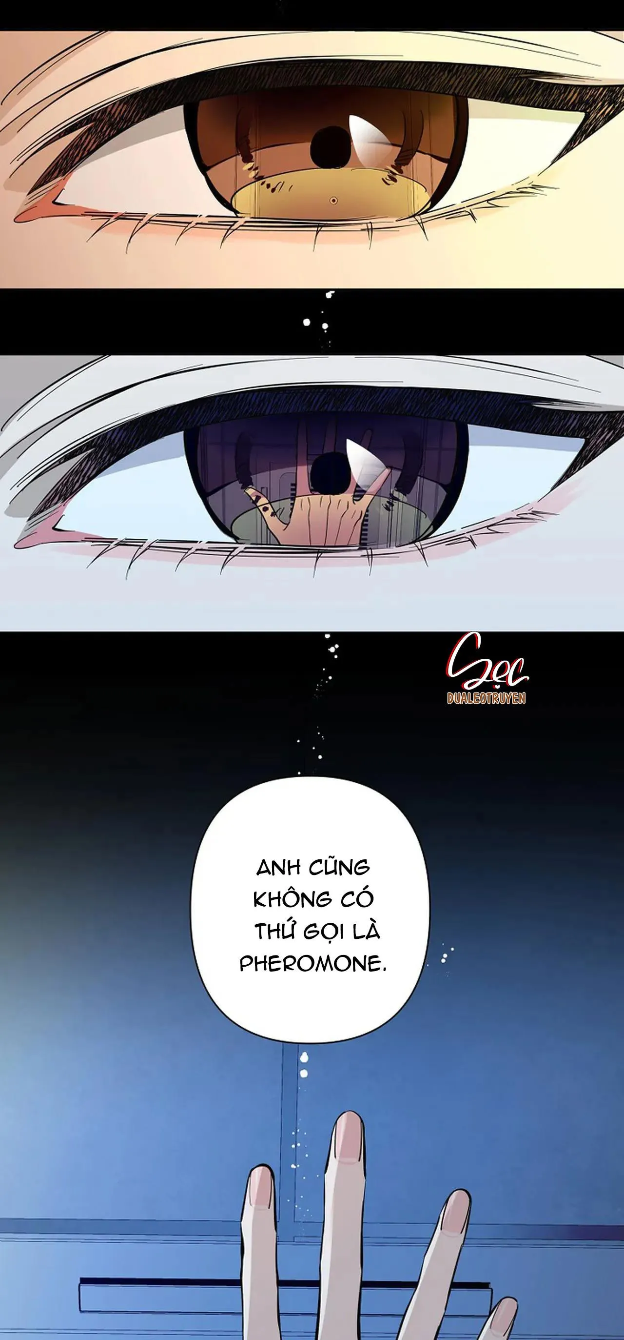 ĐÊM DỊU DÀNG Chapter 71 Trang 9