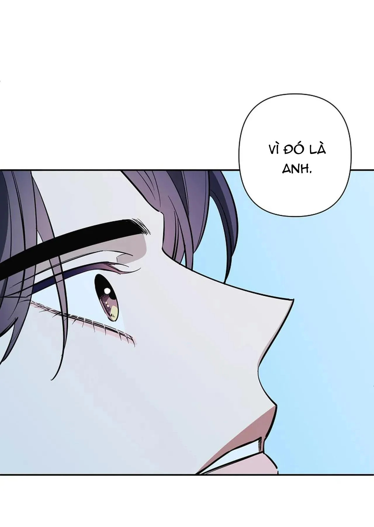 ĐÊM DỊU DÀNG Chapter 71 Trang 14