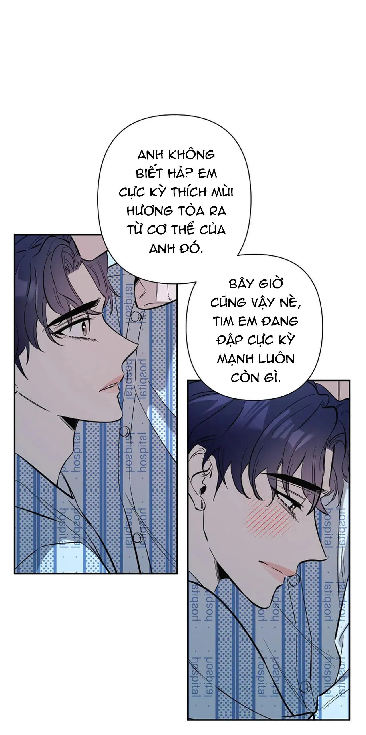ĐÊM DỊU DÀNG Chapter 71 Trang 15