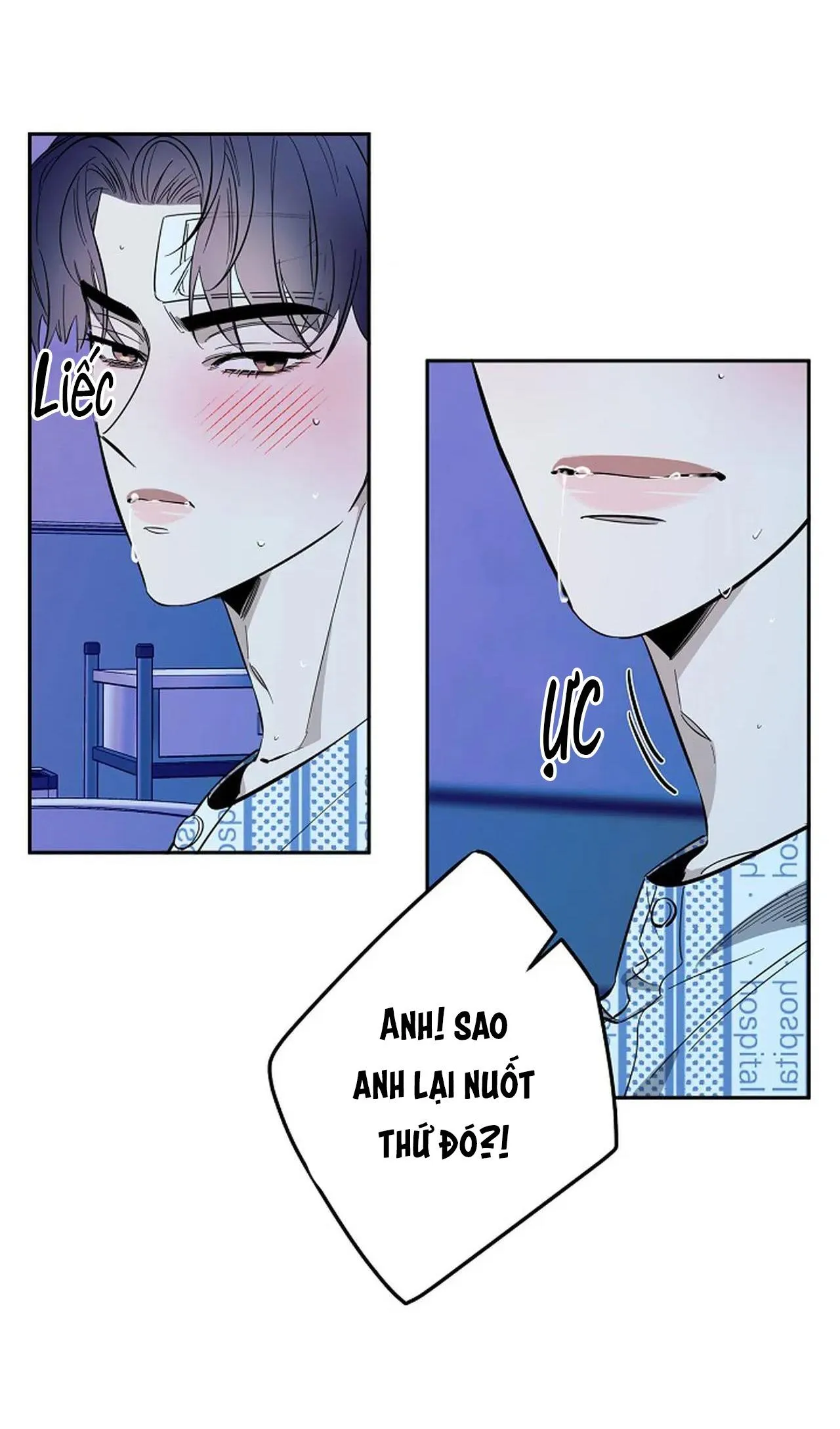 ĐÊM DỊU DÀNG Chapter 72 Trang 13