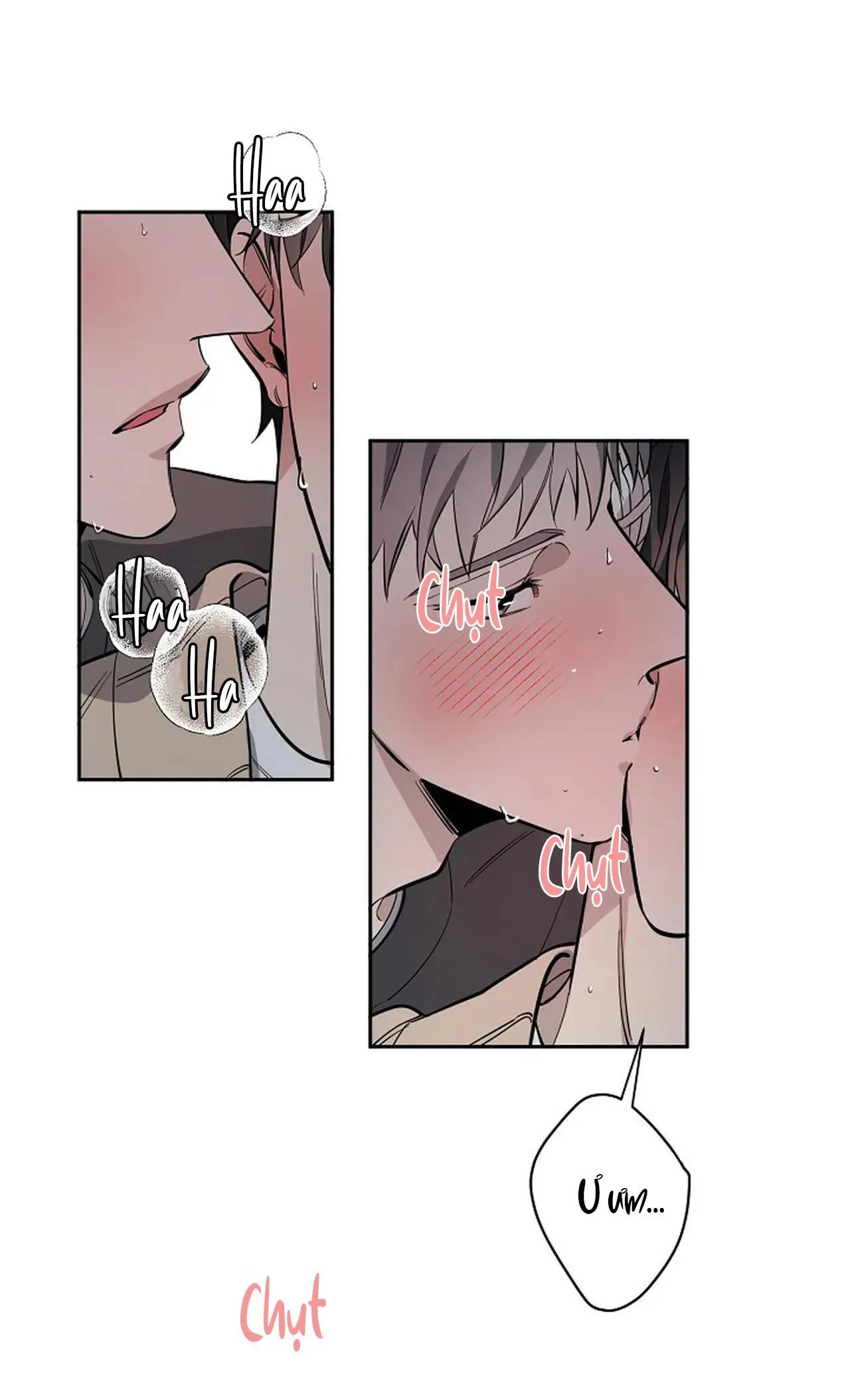 ĐÊM DỊU DÀNG Chapter 72 Trang 35