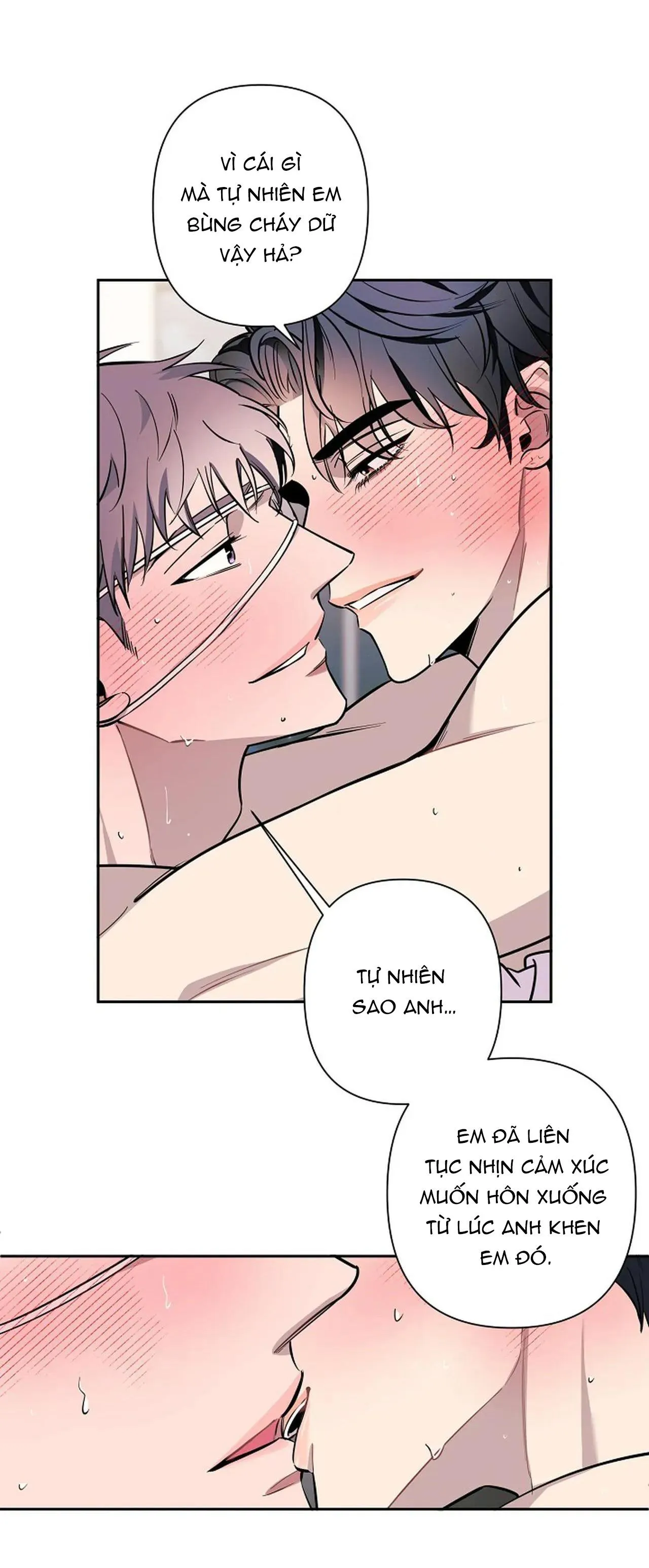 ĐÊM DỊU DÀNG Chapter 76 Trang 7