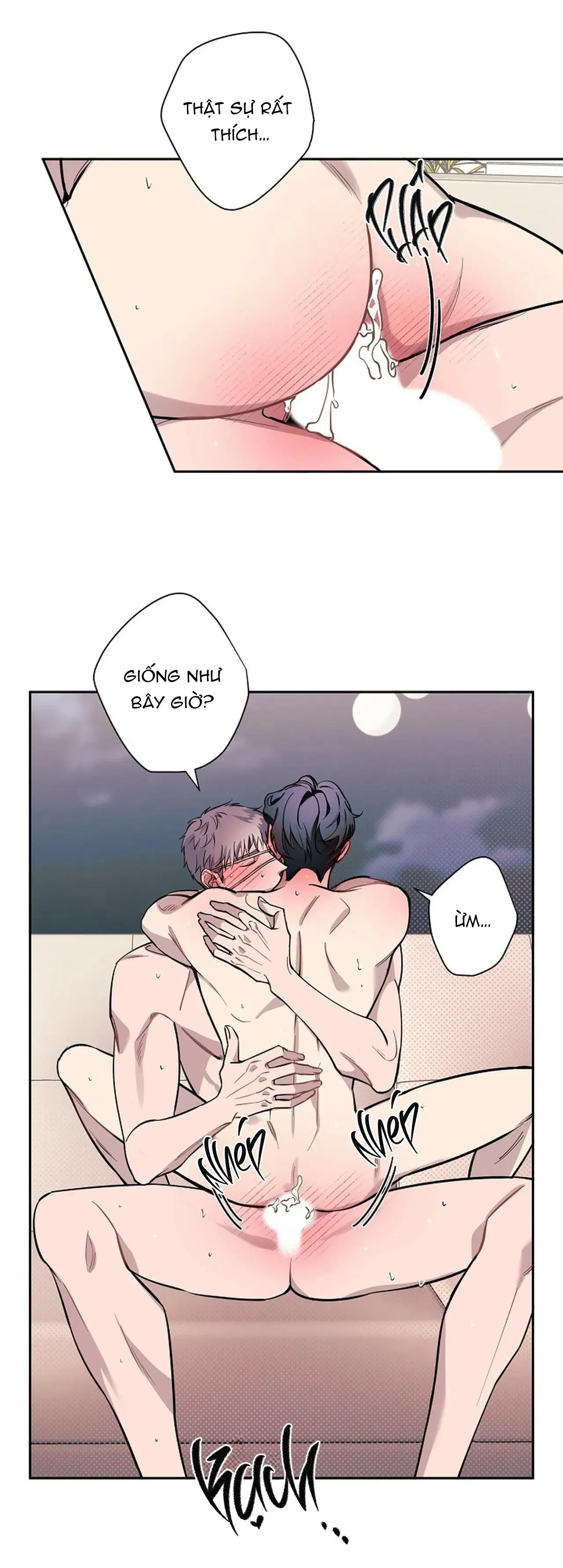 ĐÊM DỊU DÀNG Chapter 76 Trang 13