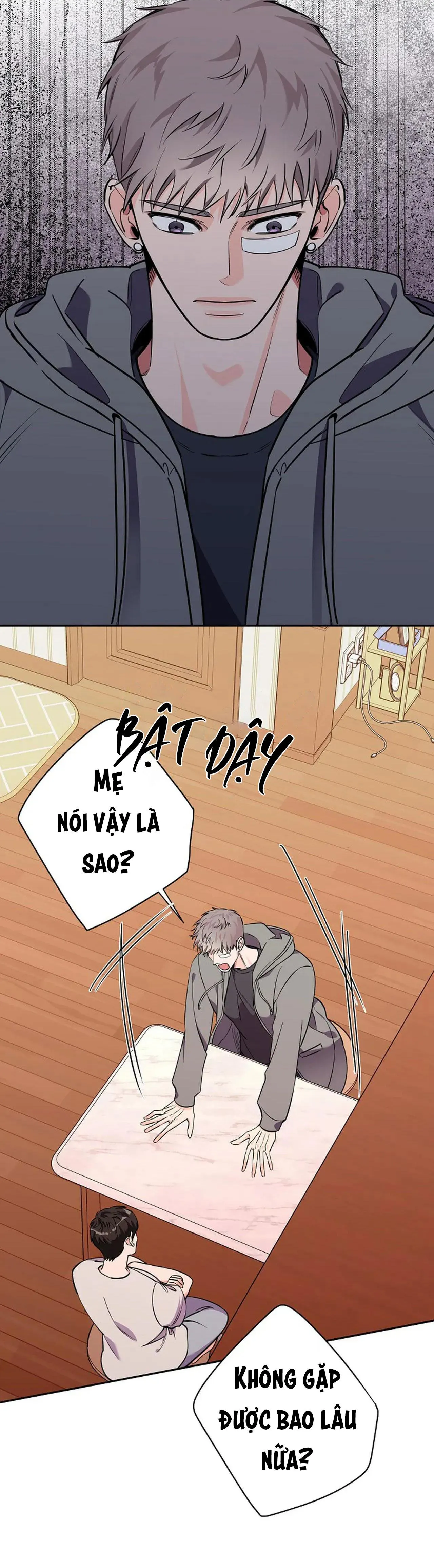 ĐÊM DỊU DÀNG Chapter 79 Trang 4