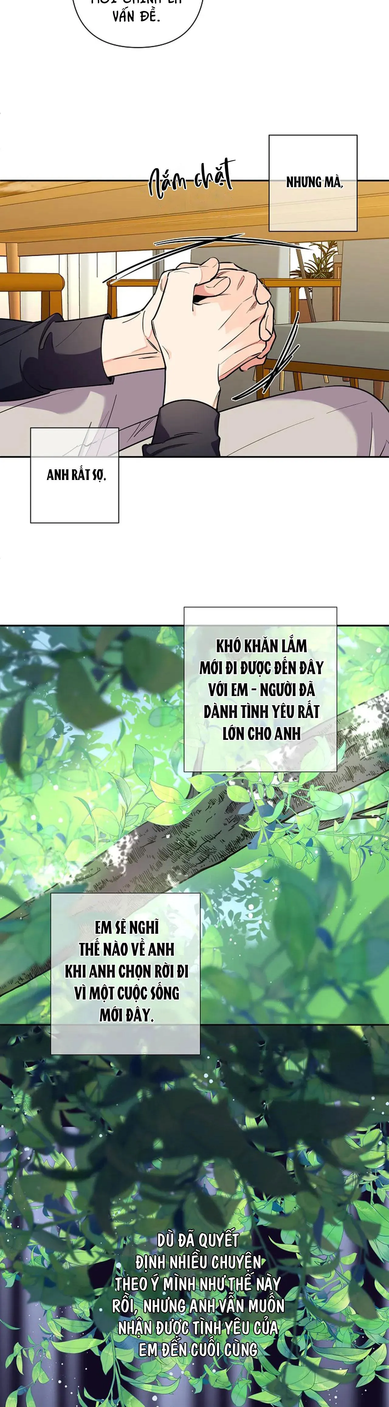 ĐÊM DỊU DÀNG Chapter 79 Trang 15