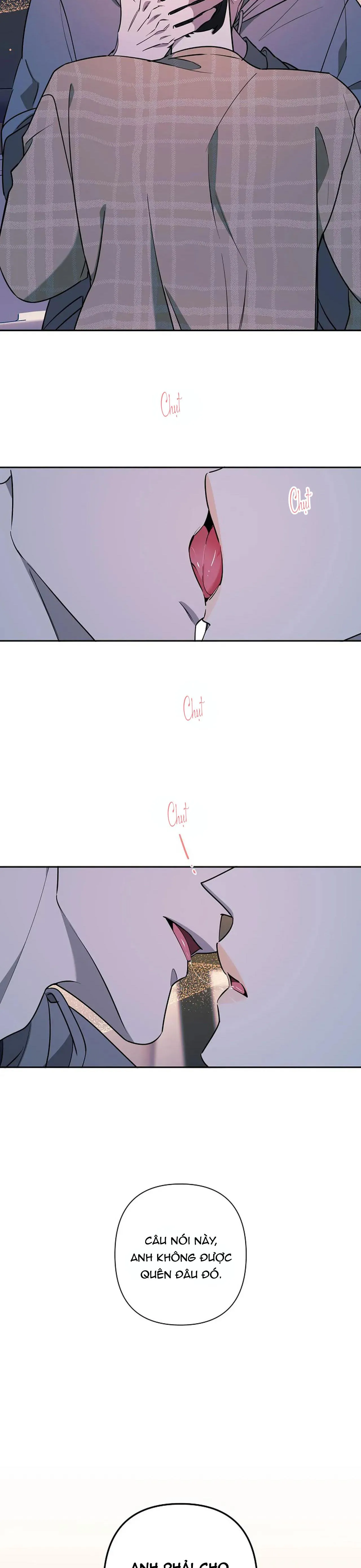 ĐÊM DỊU DÀNG Chapter 80 Trang 13