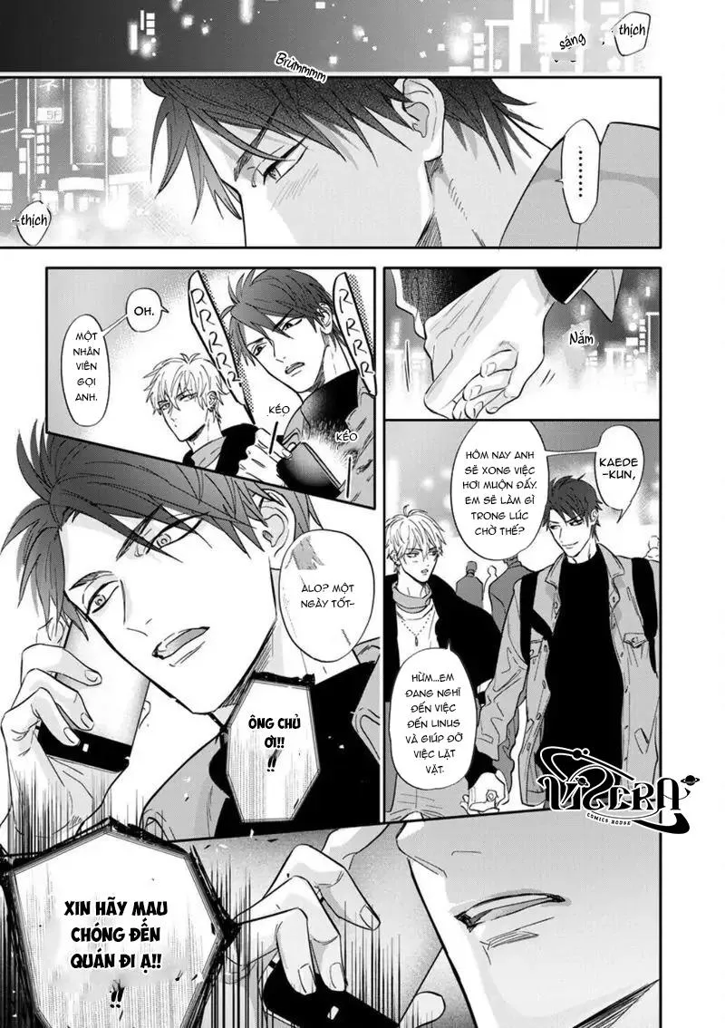 Đêm Hoan Lạc Chapter 5 Trang 9