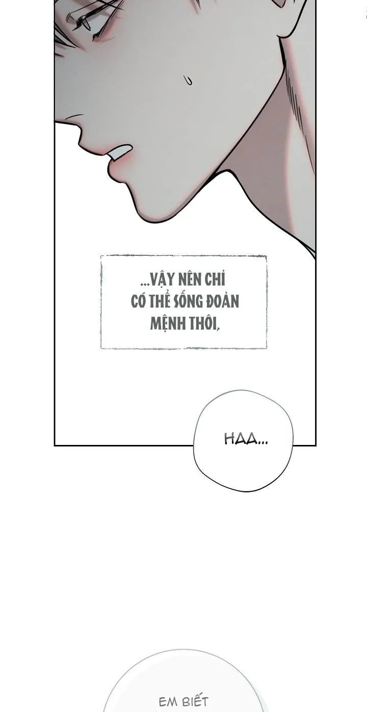 ĐÊM KHÔNG DẤU VẾT Chapter 1 Trang 57