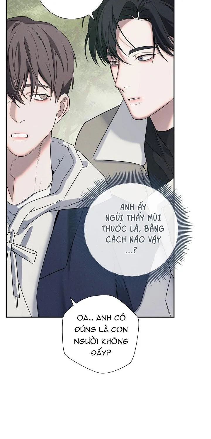 ĐÊM KHÔNG DẤU VẾT Chapter 5 Trang 15