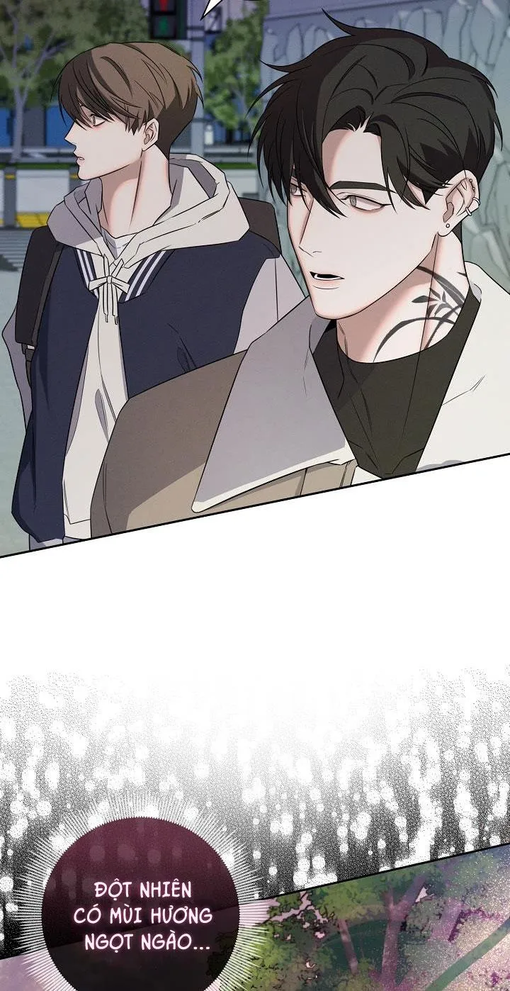 ĐÊM KHÔNG DẤU VẾT Chapter 5 Trang 32