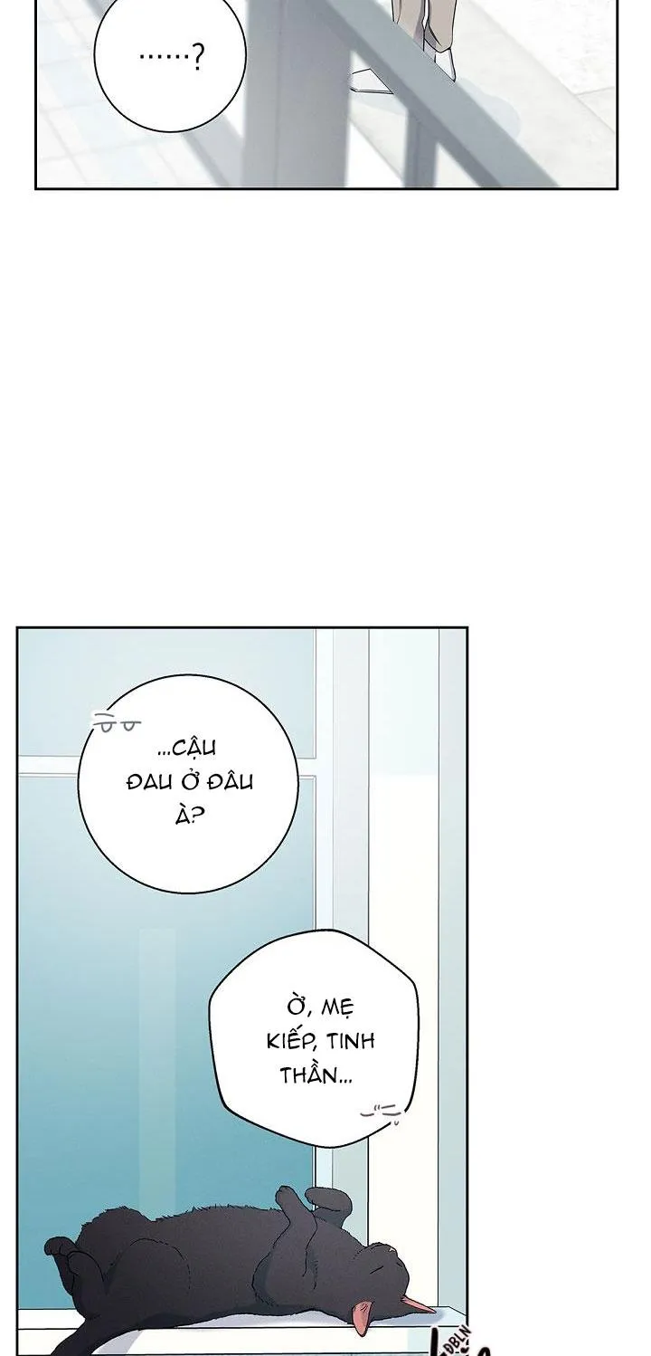 ĐÊM KHÔNG DẤU VẾT Chapter 9 Trang 18