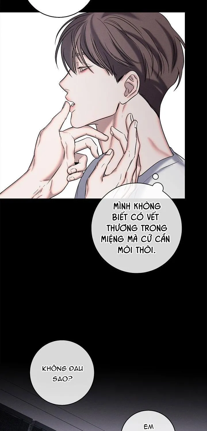 ĐÊM KHÔNG DẤU VẾT Chapter 19 Trang 31