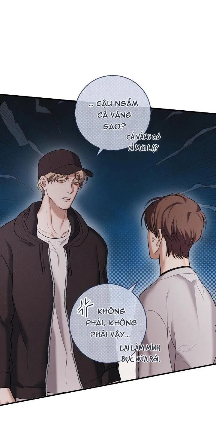 ĐÊM KHÔNG DẤU VẾT Chapter 23 Trang 23