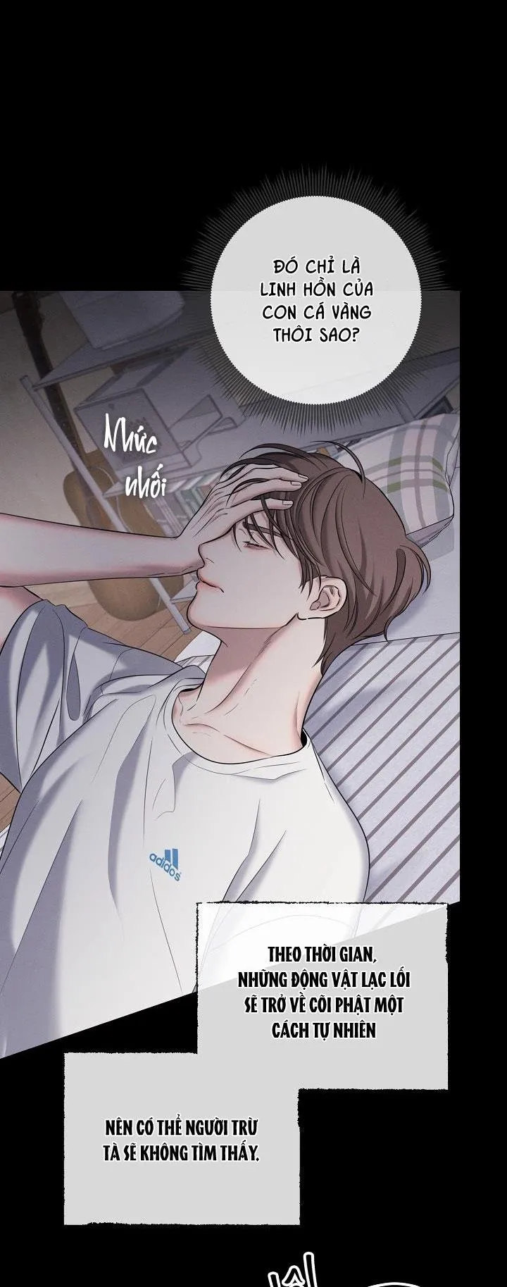 ĐÊM KHÔNG DẤU VẾT Chapter 25 Trang 17