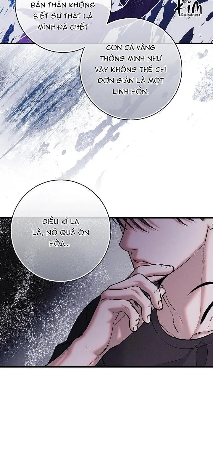 ĐÊM KHÔNG DẤU VẾT Chapter 29 Trang 12