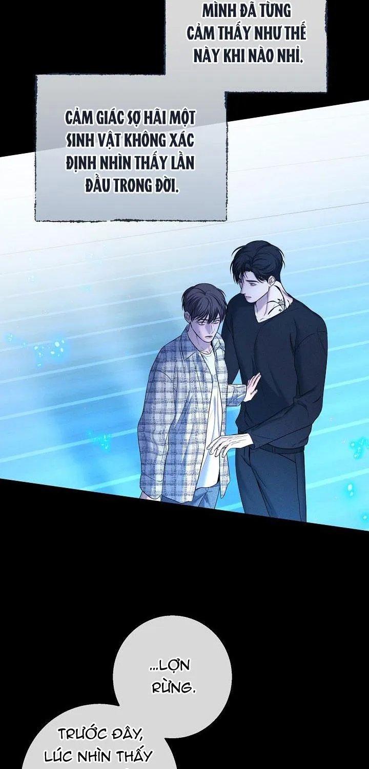 ĐÊM KHÔNG DẤU VẾT Chapter 31 Trang 4