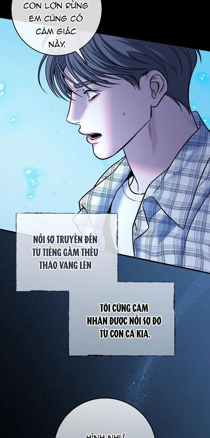 ĐÊM KHÔNG DẤU VẾT Chapter 31 Trang 5