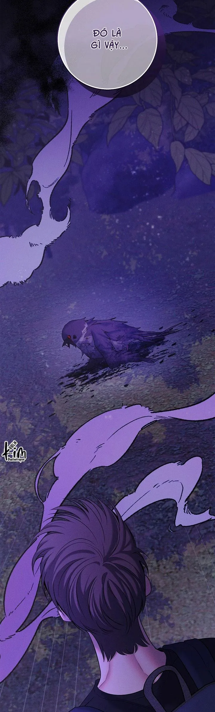 ĐÊM KHÔNG DẤU VẾT Chapter 37 Trang 16