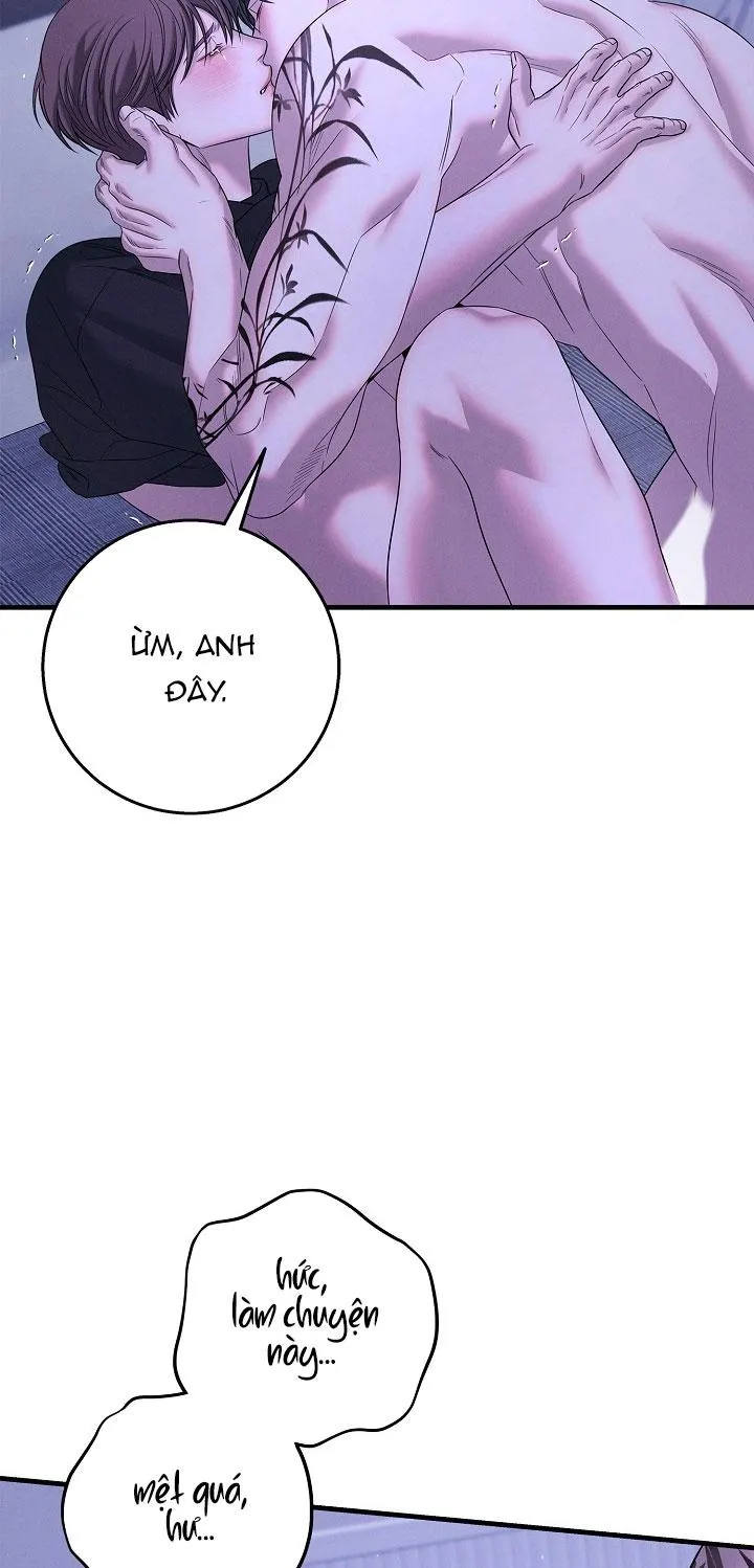 ĐÊM KHÔNG DẤU VẾT Chapter 46 Trang 33