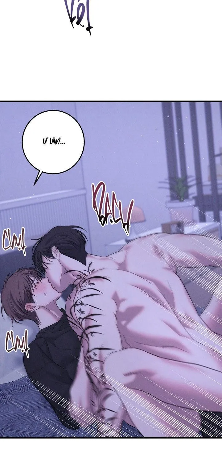 ĐÊM KHÔNG DẤU VẾT Chapter 46 Trang 43