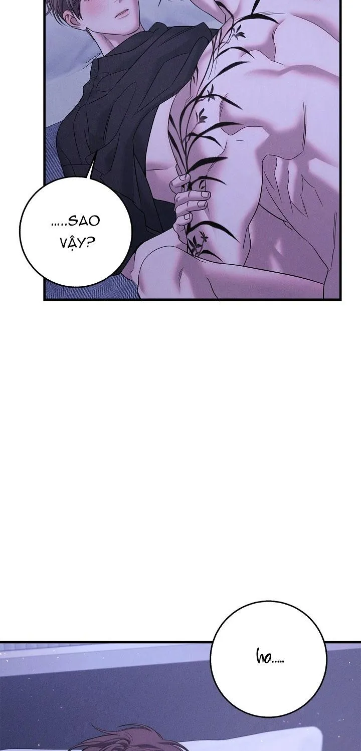 ĐÊM KHÔNG DẤU VẾT Chapter 46 Trang 47