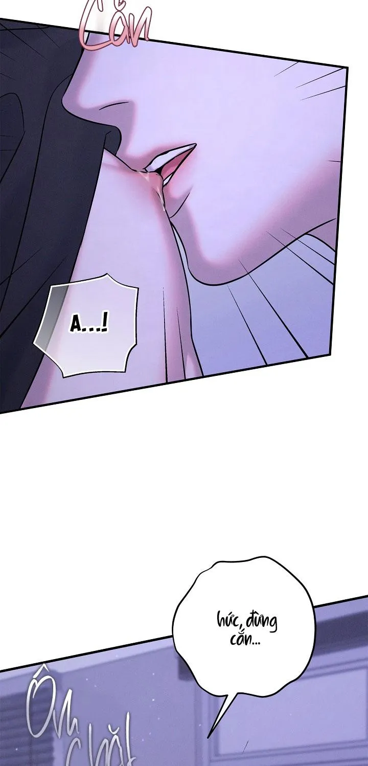 ĐÊM KHÔNG DẤU VẾT Chapter 47 Trang 11