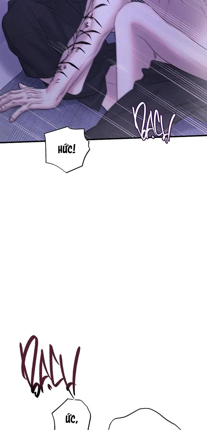ĐÊM KHÔNG DẤU VẾT Chapter 47 Trang 49