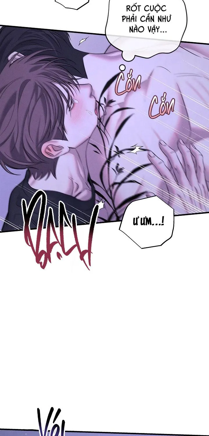 ĐÊM KHÔNG DẤU VẾT Chapter 47 Trang 50