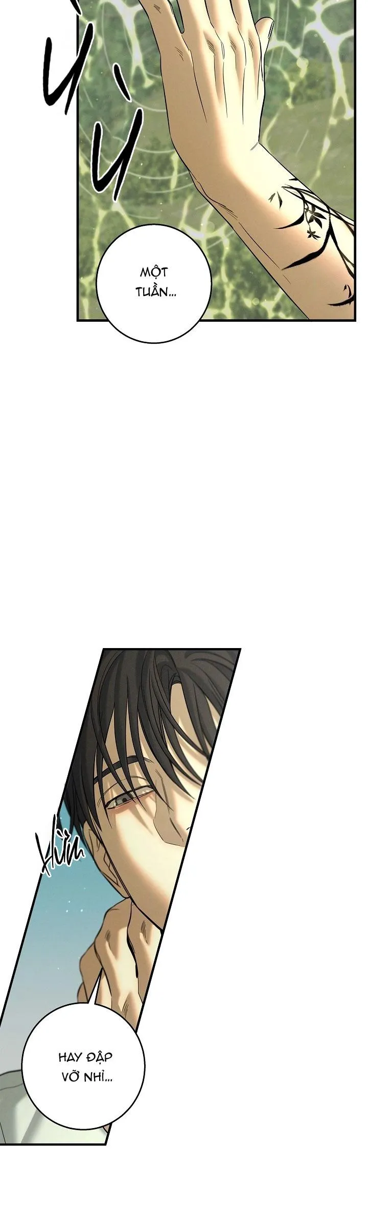 ĐÊM KHÔNG DẤU VẾT Chapter 57 Trang 53