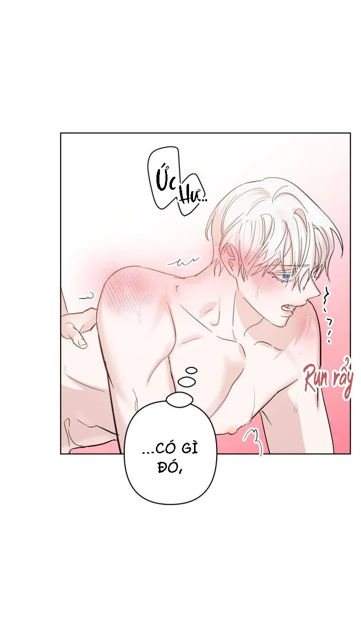 ĐÊM KHÔNG NGỦ Chapter 28 Trang 5