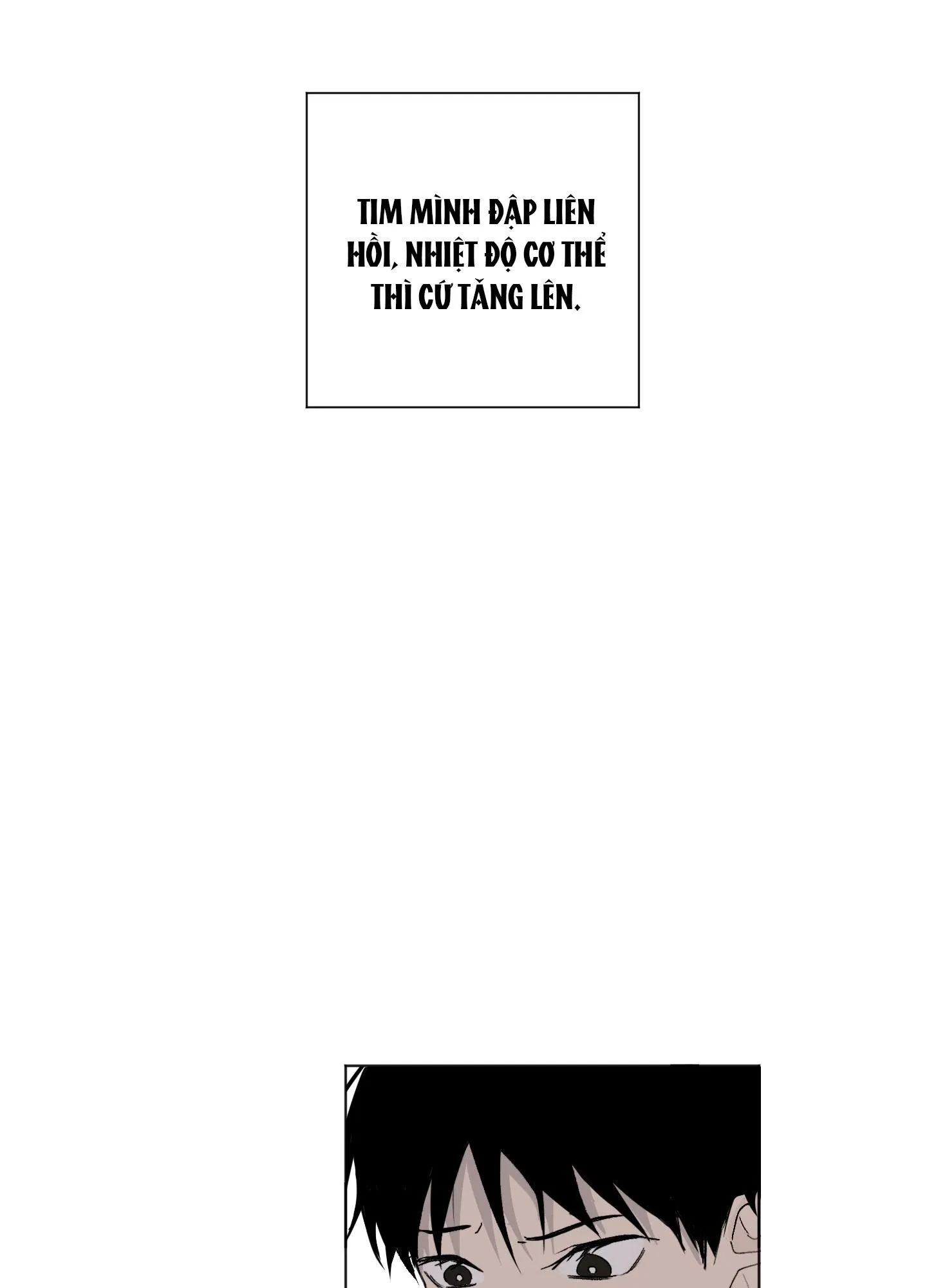 Đêm Mùa Hè Có Hoa Lupin Chapter 2 Trang 5