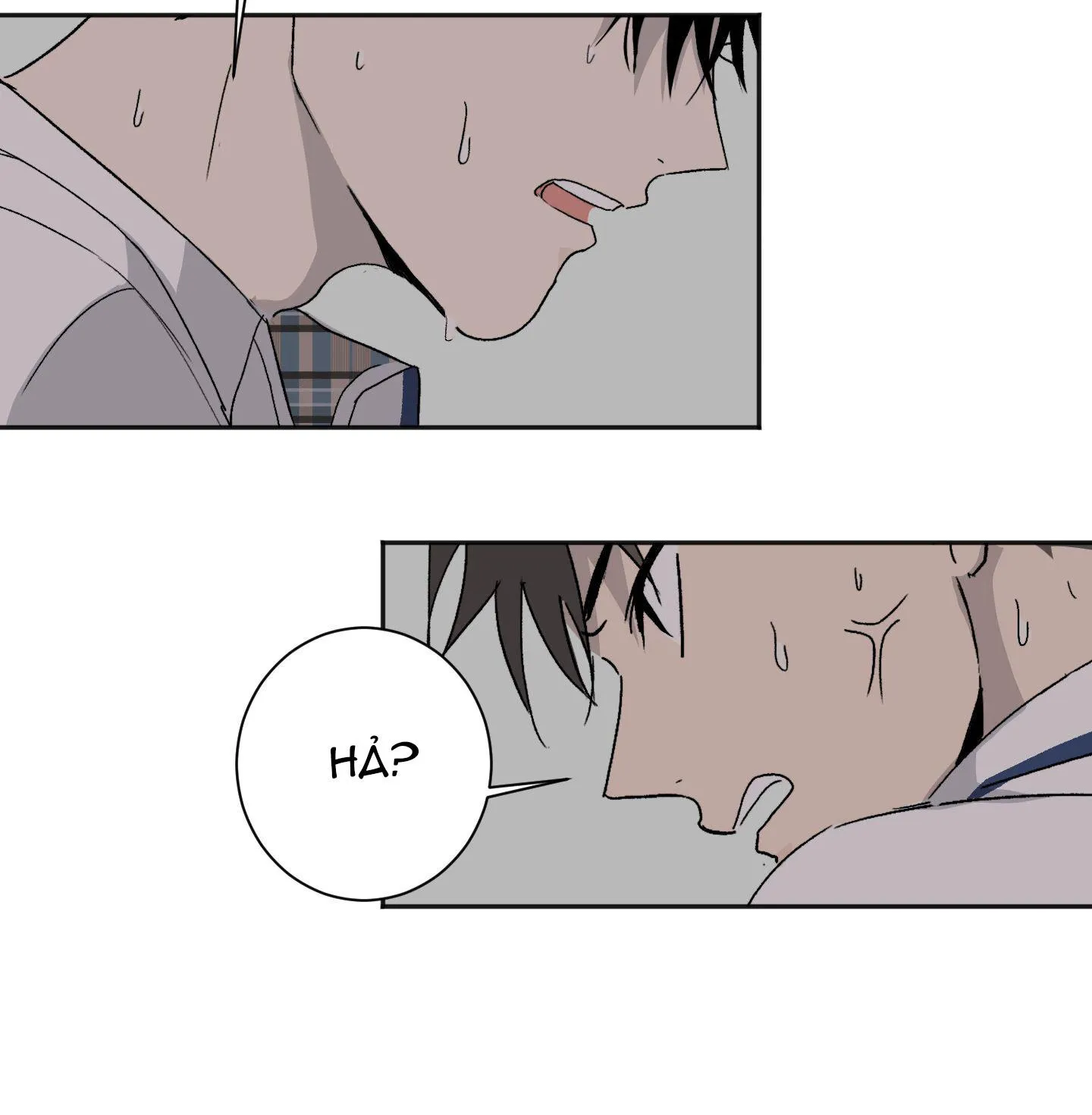 Đêm Mùa Hè Có Hoa Lupin Chapter 3 Trang 13