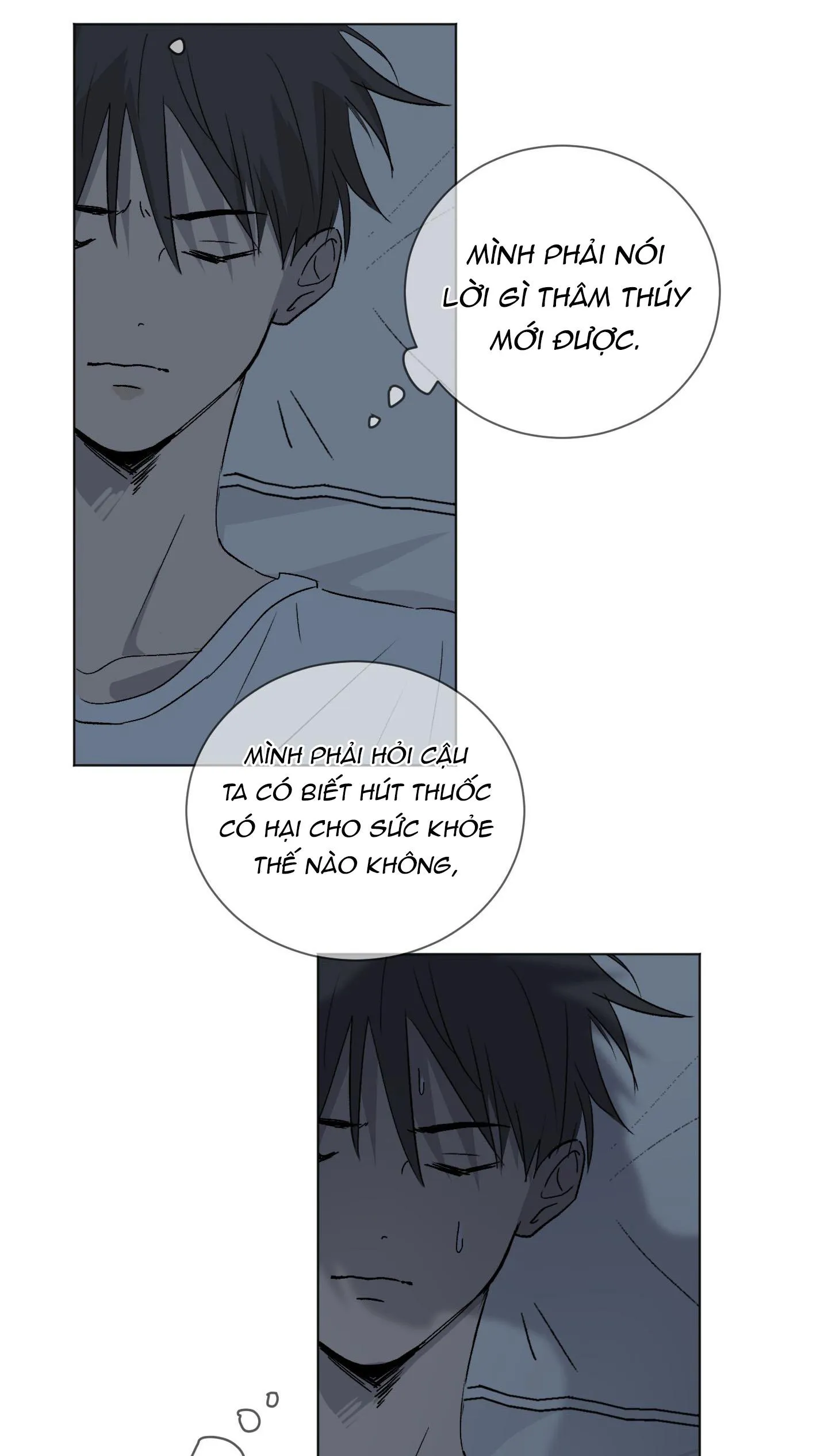 Đêm Mùa Hè Có Hoa Lupin Chapter 3 Trang 62