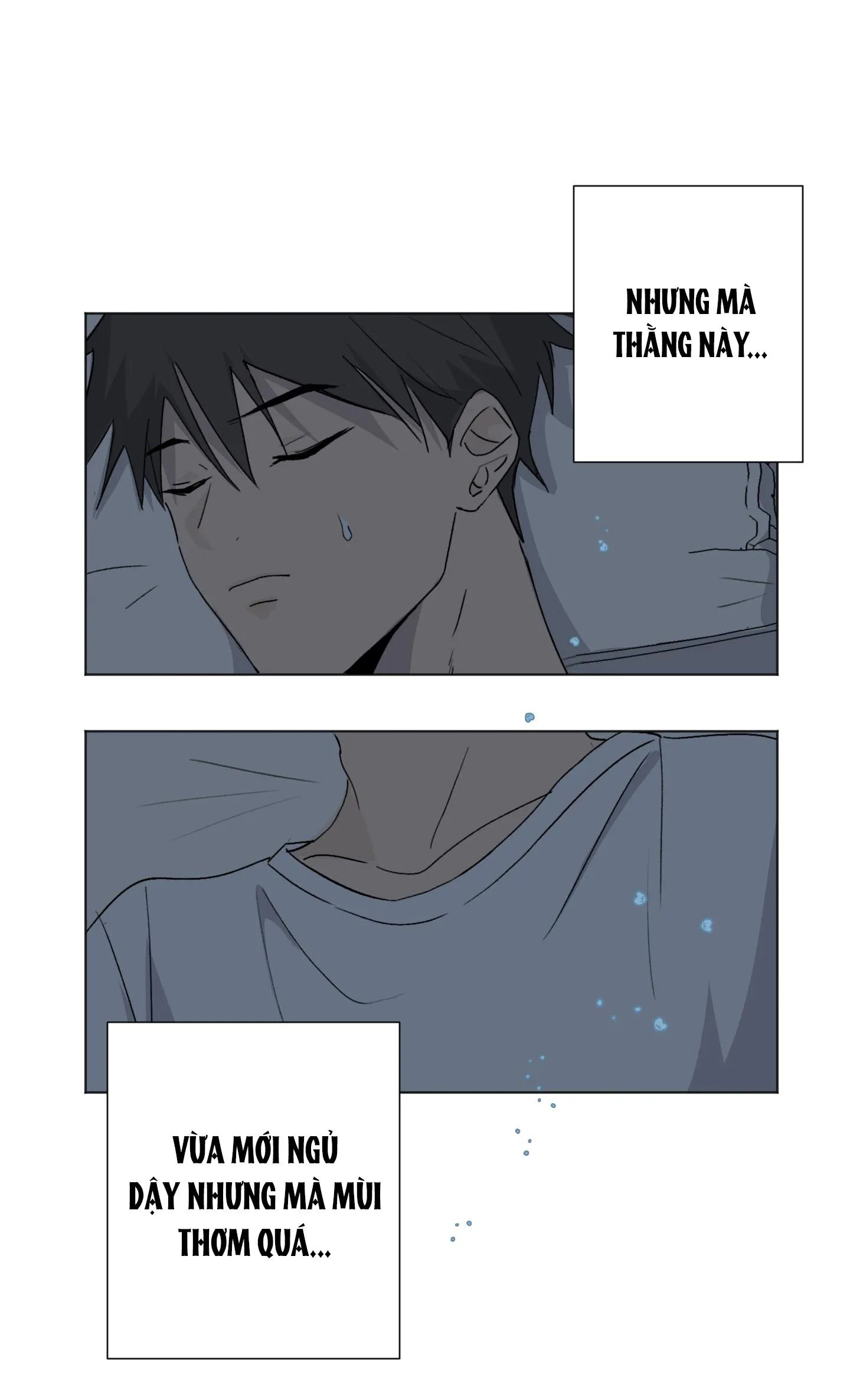 Đêm Mùa Hè Có Hoa Lupin Chapter 4 Trang 4