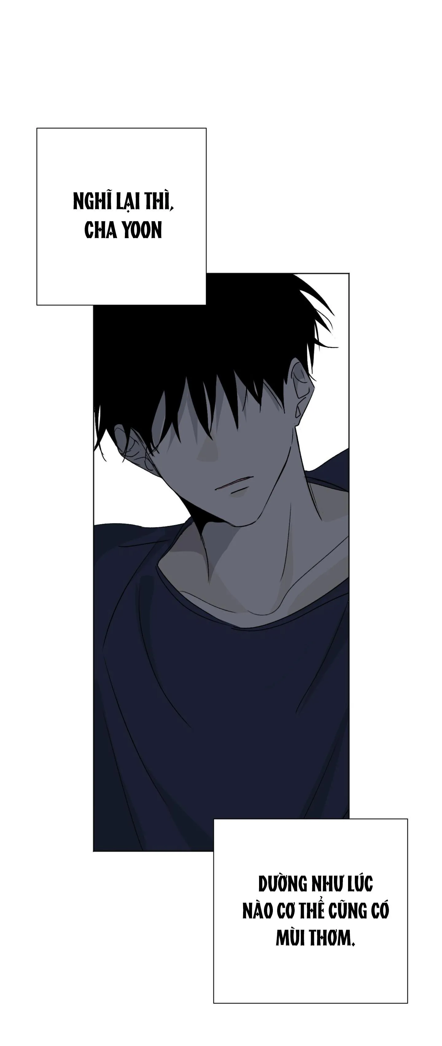 Đêm Mùa Hè Có Hoa Lupin Chapter 4 Trang 5