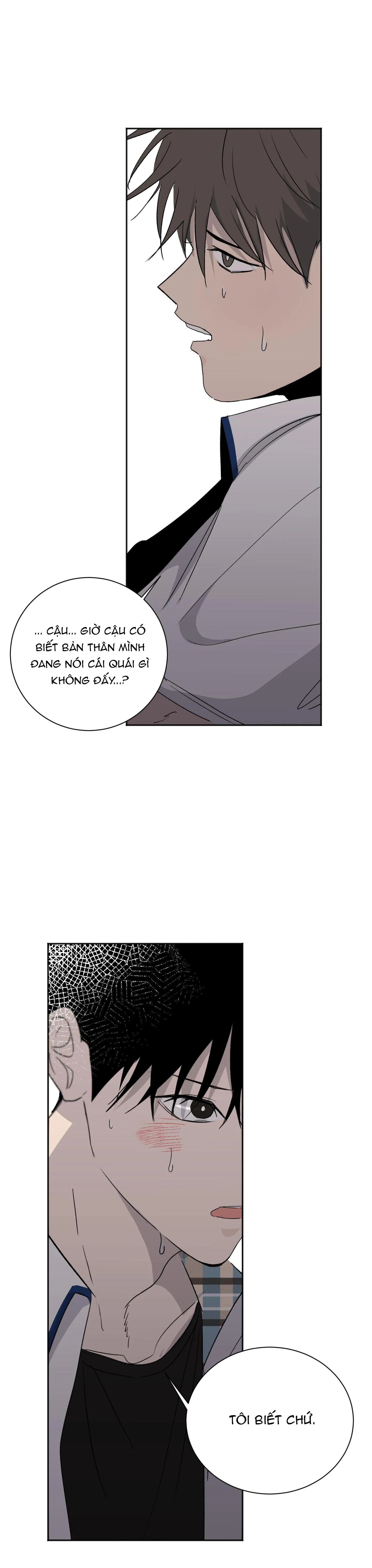 Đêm Mùa Hè Có Hoa Lupin Chapter 5 Trang 14