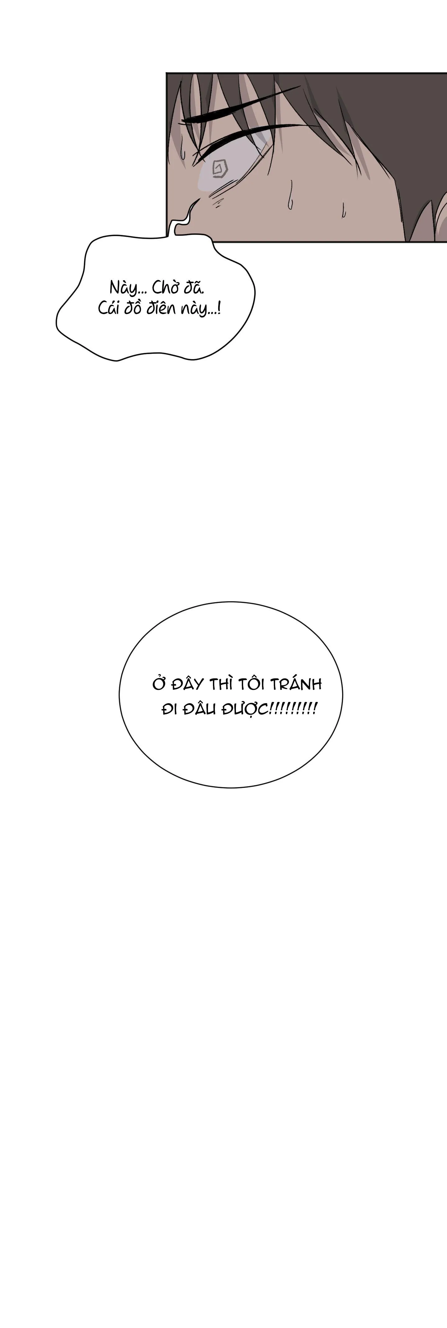 Đêm Mùa Hè Có Hoa Lupin Chapter 5 Trang 18