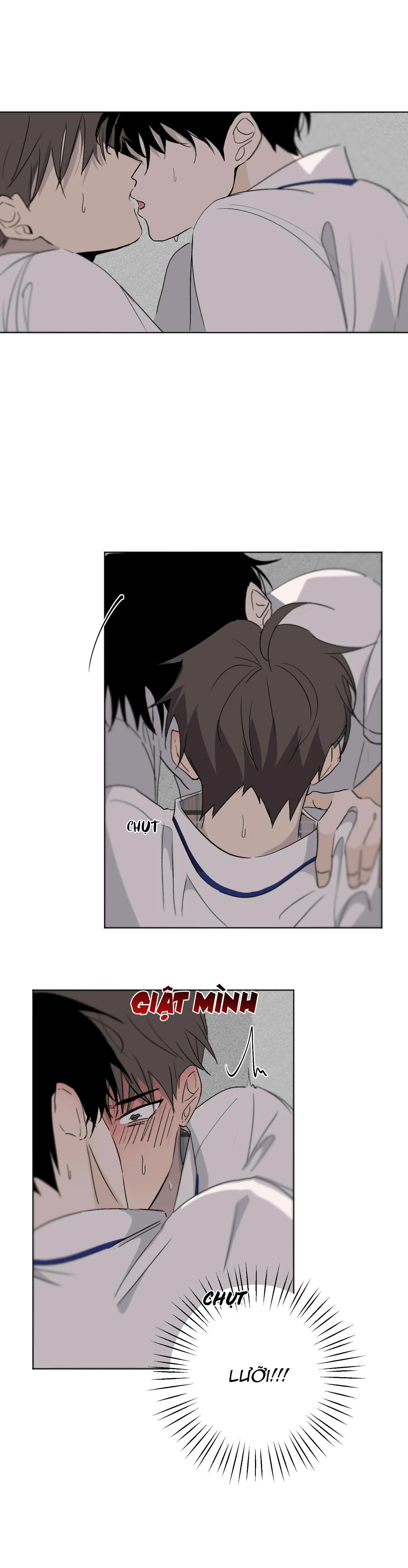 Đêm Mùa Hè Có Hoa Lupin Chapter 5 Trang 20