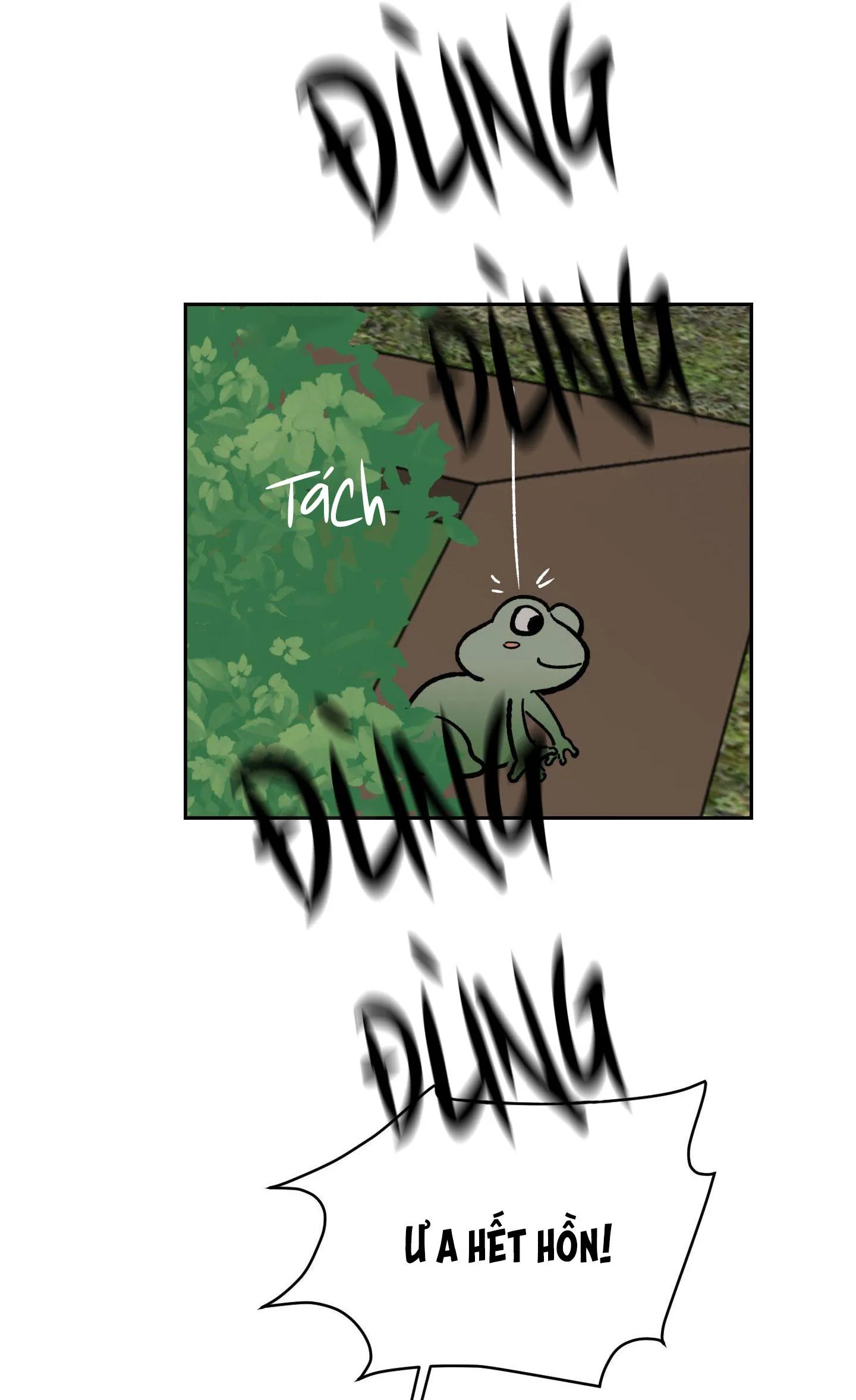 Đêm Mùa Hè Có Hoa Lupin Chapter 9 Trang 5